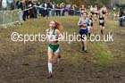 Girls under-13s, National Cross Country Relays, Berry Park, Mansfield. Photo: David T. Hewitson/Sports for All Pics